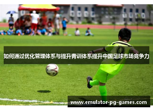 如何通过优化管理体系与提升青训体系提升中国足球市场竞争力