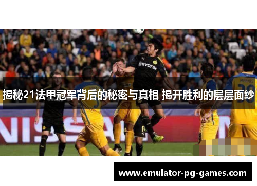 揭秘21法甲冠军背后的秘密与真相 揭开胜利的层层面纱