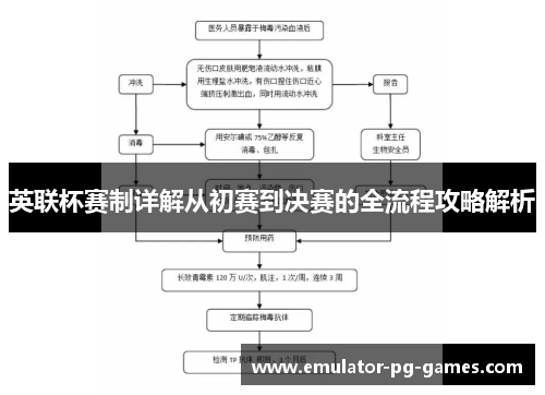 英联杯赛制详解从初赛到决赛的全流程攻略解析