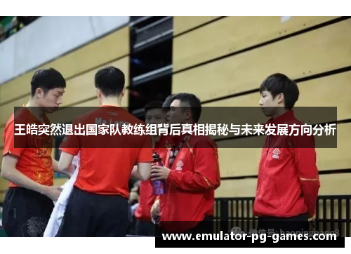 王皓突然退出国家队教练组背后真相揭秘与未来发展方向分析 王皓突然退出国家队教练组背后真相揭秘与未来发展方向分析