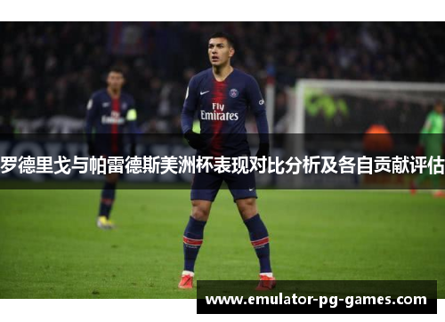 罗德里戈与帕雷德斯美洲杯表现对比分析及各自贡献评估